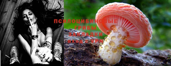 mdma Новозыбков